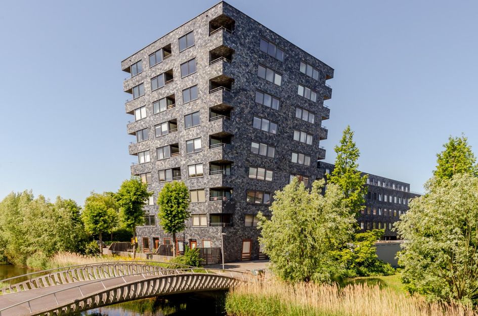 Rottumeroog 48