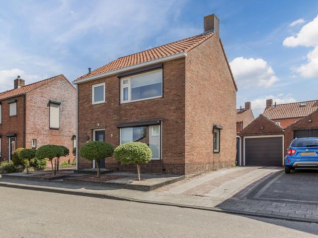 Schoolstraat 9, Vogelwaarde