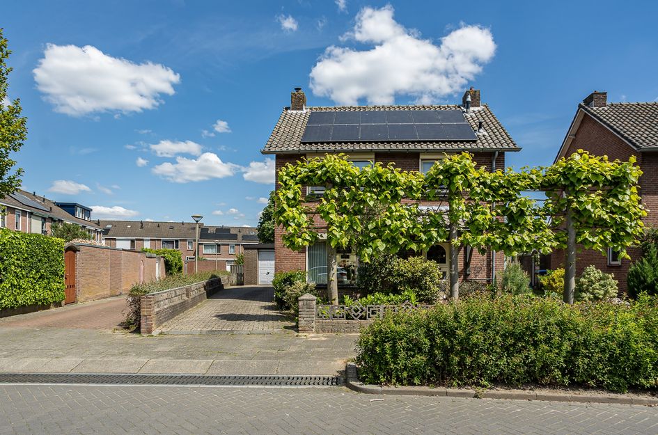 Wilgstraat 6