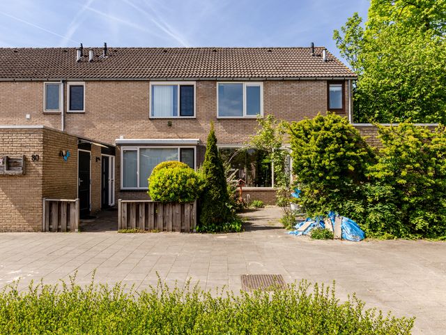 Wijngaard 79, Lelystad
