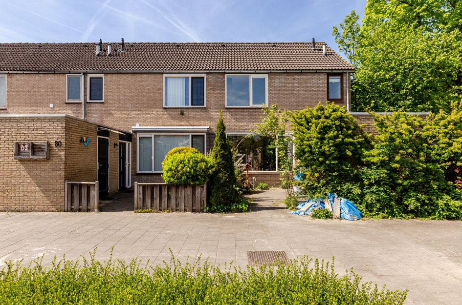 Wijngaard 79