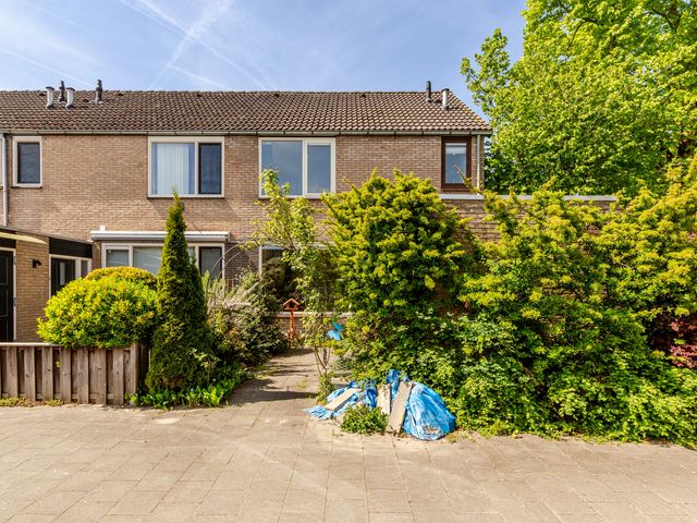 Wijngaard 79, Lelystad