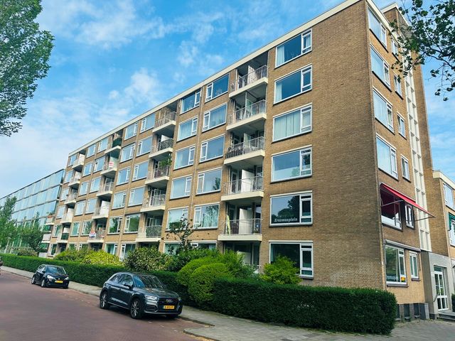 Erasmusplein 210, Den Haag