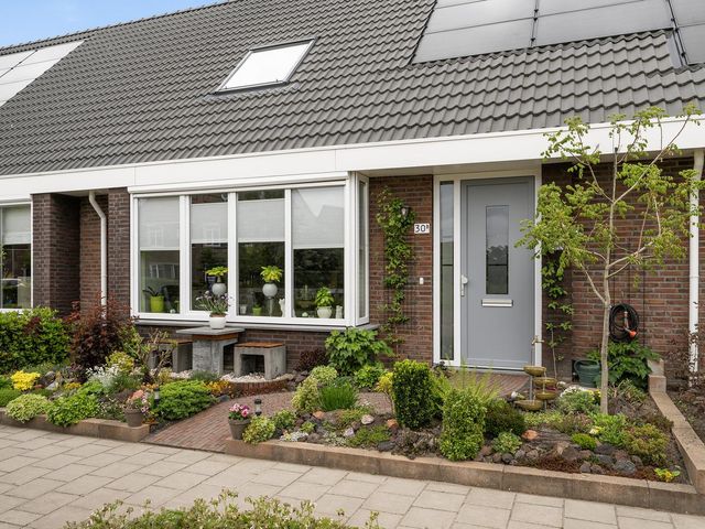 Dilt 30b, Tholen