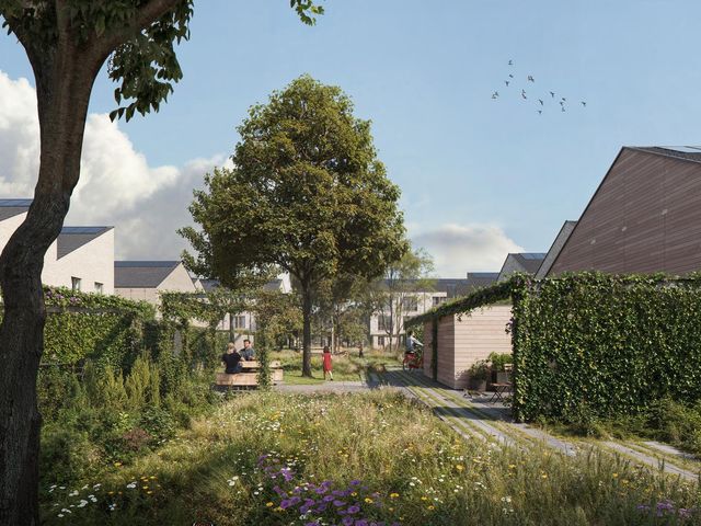 Boeg , Zeewolde