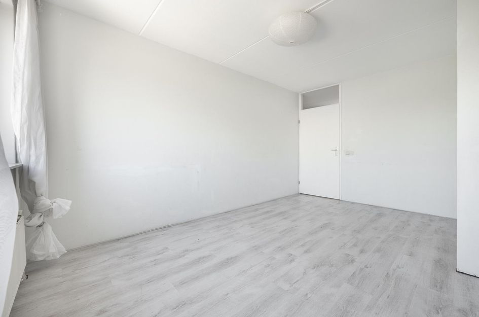 Beukenhof 100