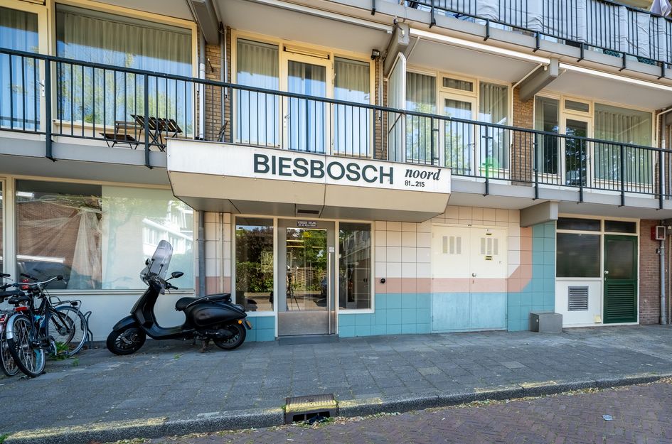 Biesbosch 199