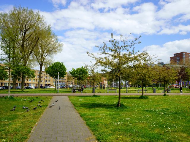 Zuidplein 562, Rotterdam