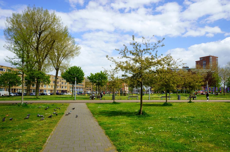 Zuidplein 562