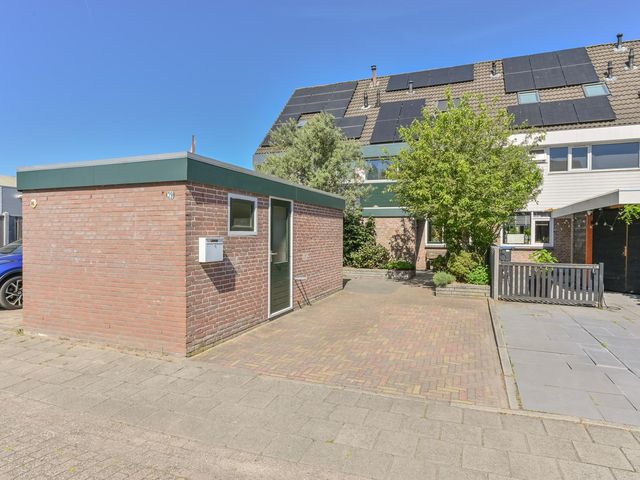 Penningkruid 39, Kampen