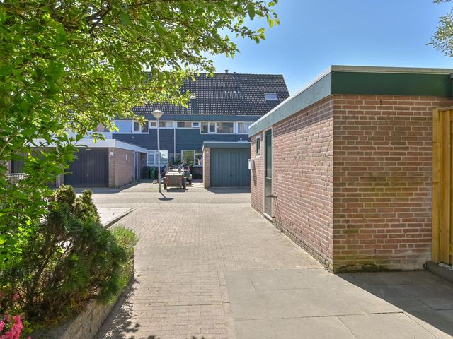 Penningkruid 39, Kampen