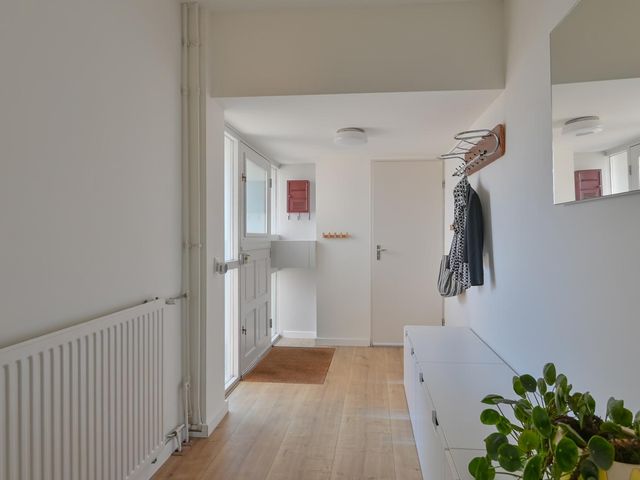 Penningkruid 39, Kampen