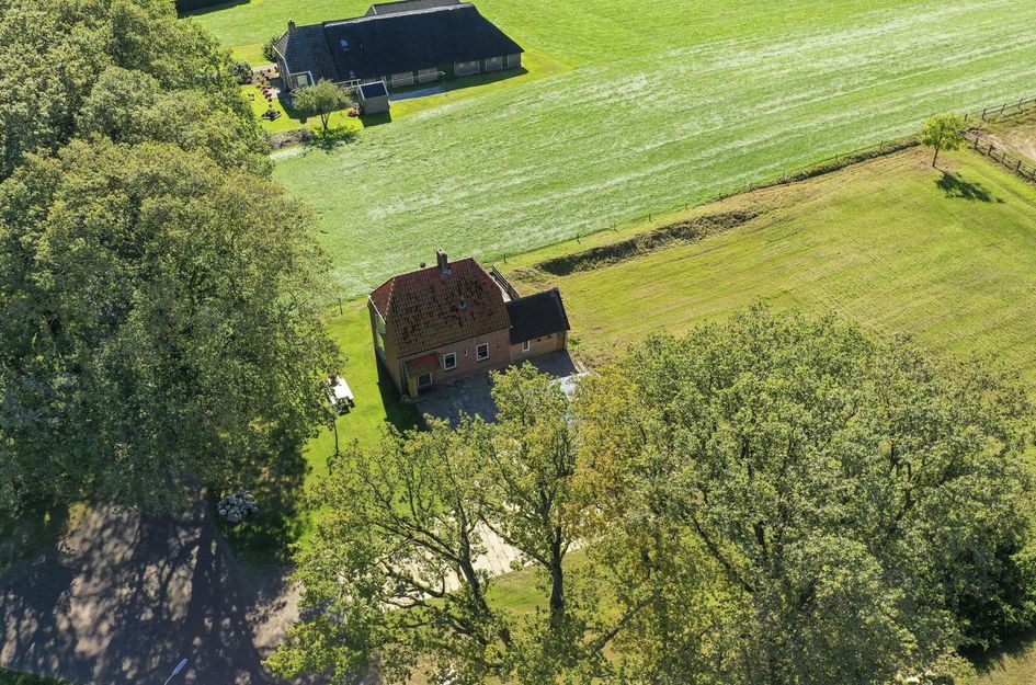 Oldendiever 6