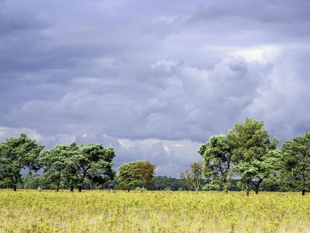 Oldendiever 6, Diever
