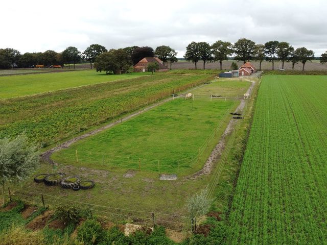 Holte 12, Onstwedde