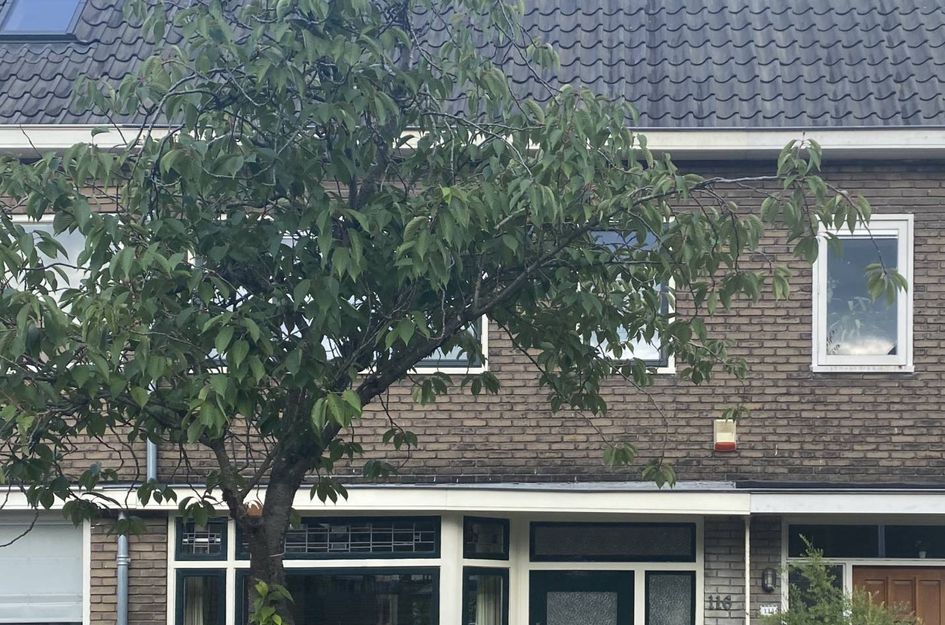Verlengde Hoogravenseweg 116