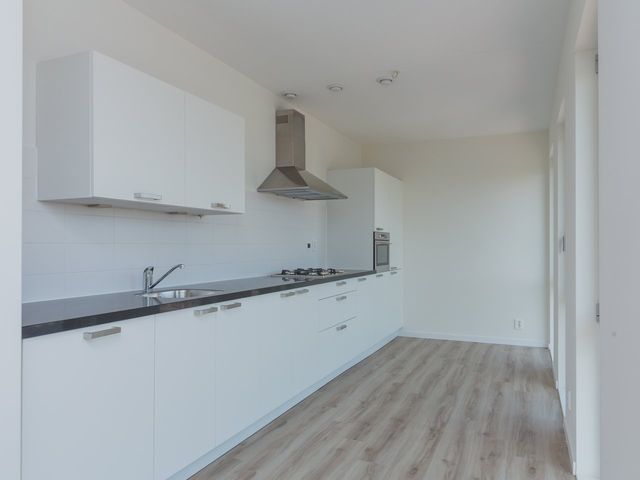 Roolandweg 39, Haarlem