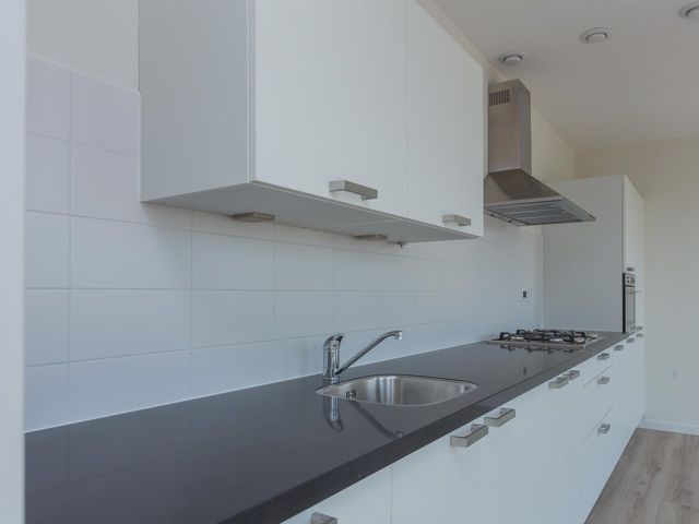 Roolandweg 39, Haarlem