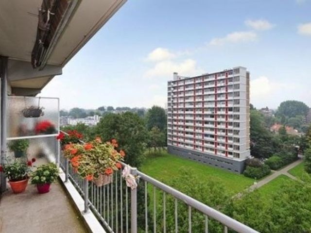 Elviraland , Den Haag