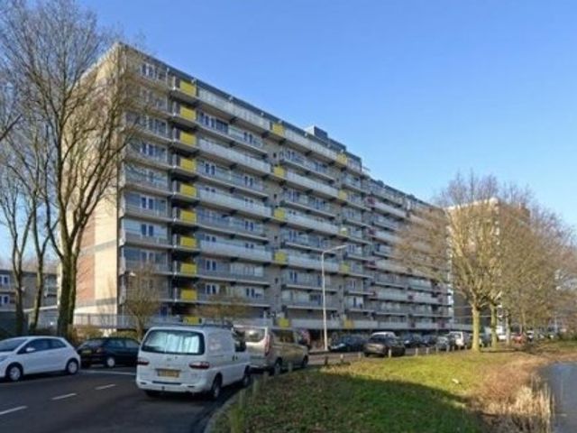 De Brink , Den Haag