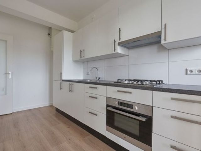 Hongarenburg , Den Haag