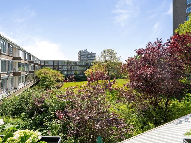 Meander 895, Amstelveen