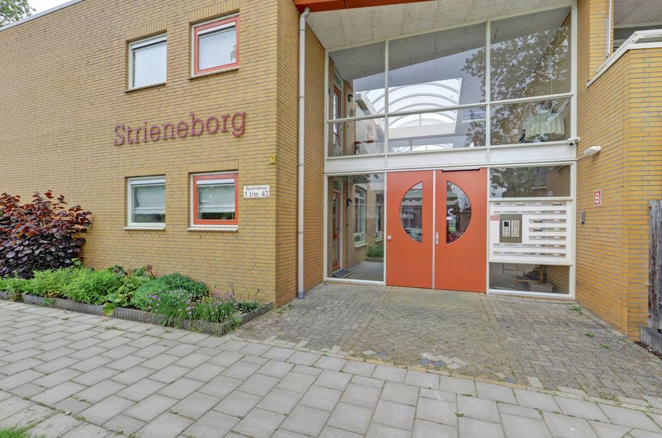 Apollostraat 17