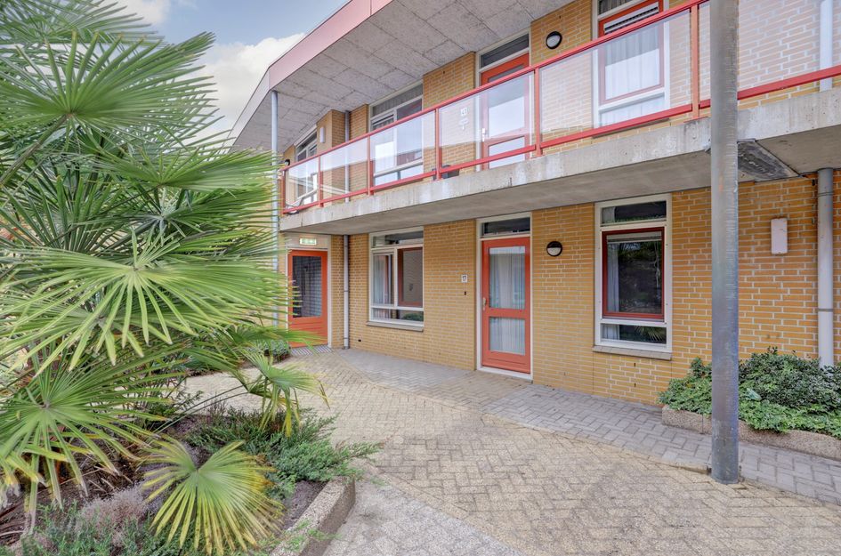 Apollostraat 17