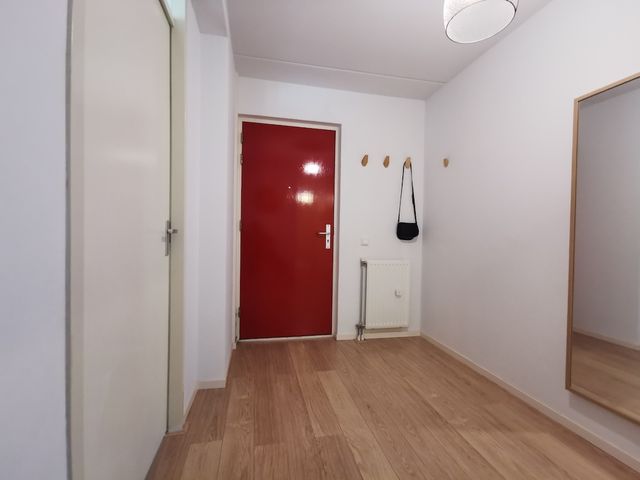 Theodoor Van Hoytemastraat 47, Amsterdam