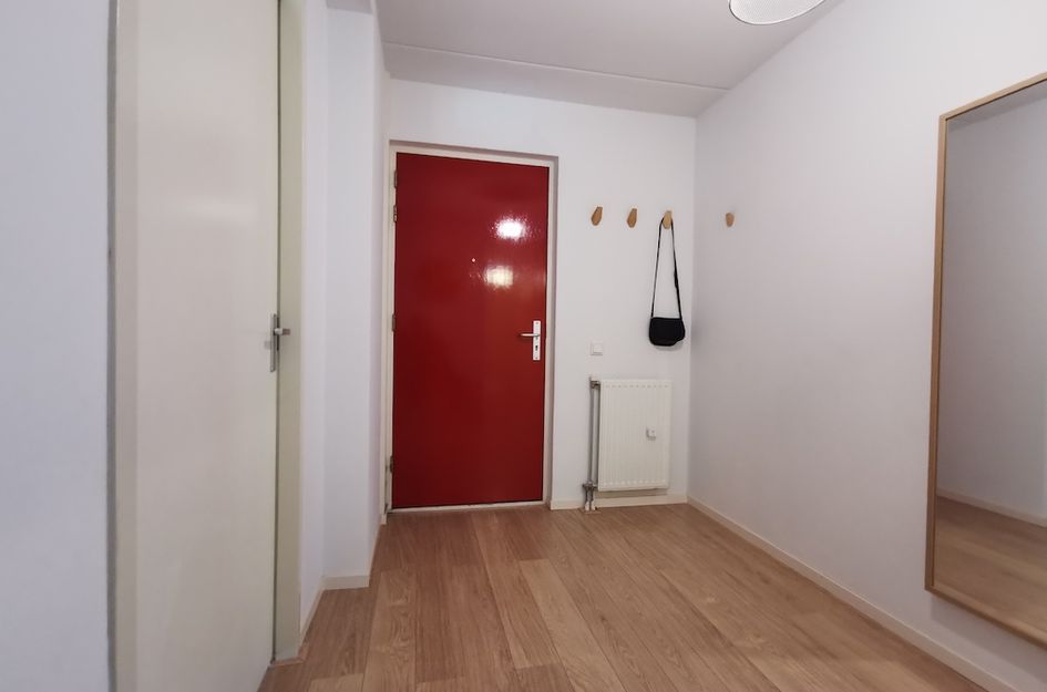 Theodoor Van Hoytemastraat 47