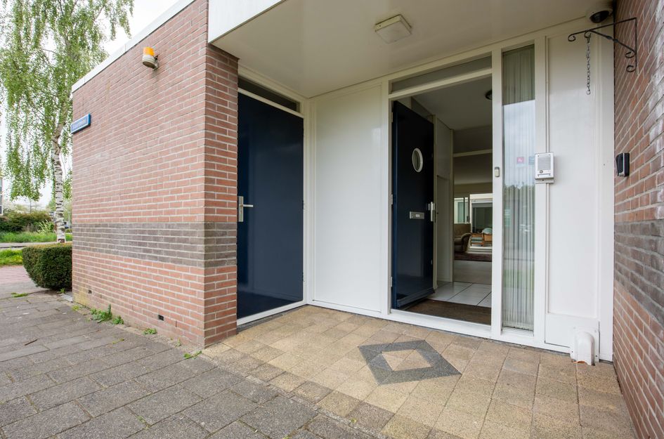 Staartmees 1