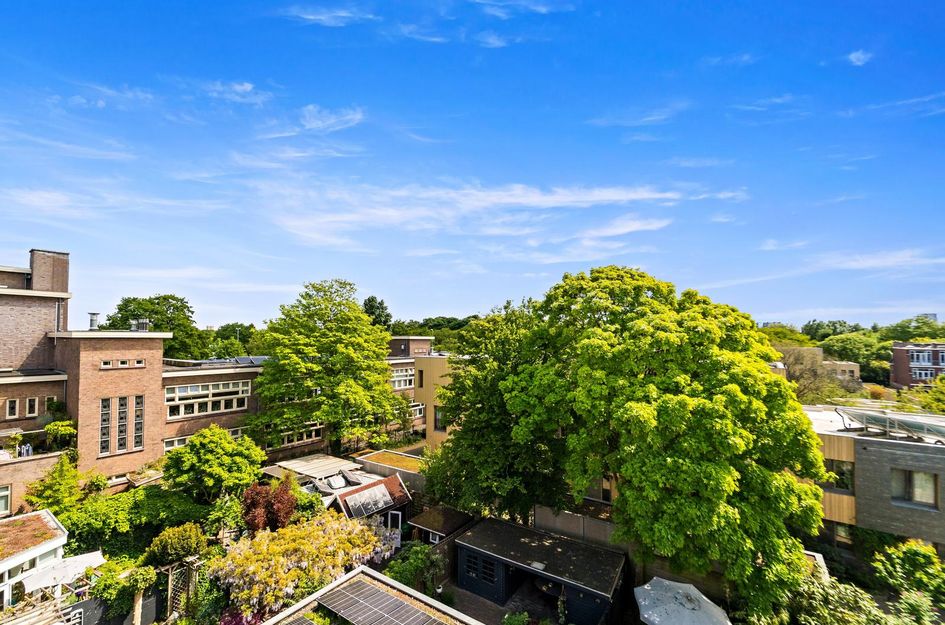 Vlierboomstraat 386