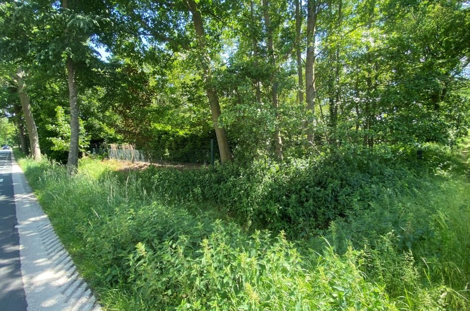 Sevenumseweg 35