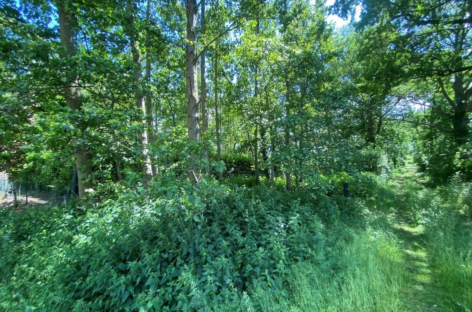 Sevenumseweg 35