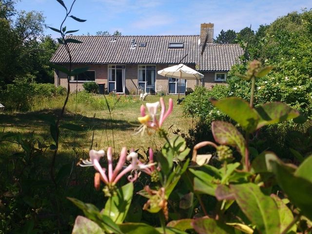 Mienterglop 37, De Koog