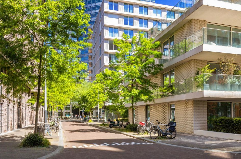 Rosy Wertheimstraat 11