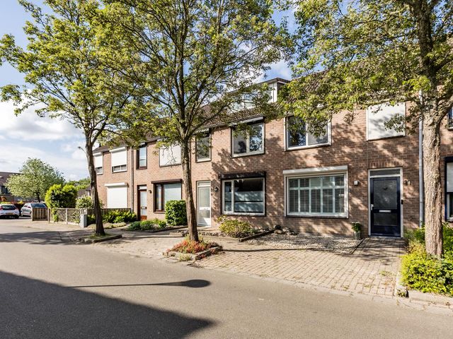 Roompot 13, Terneuzen