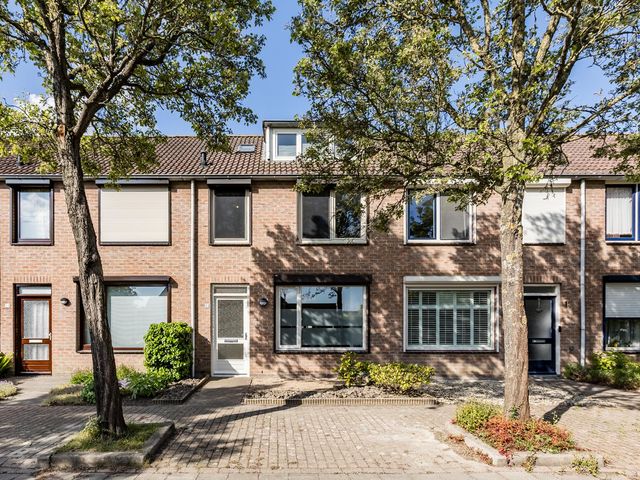 Roompot 13, Terneuzen