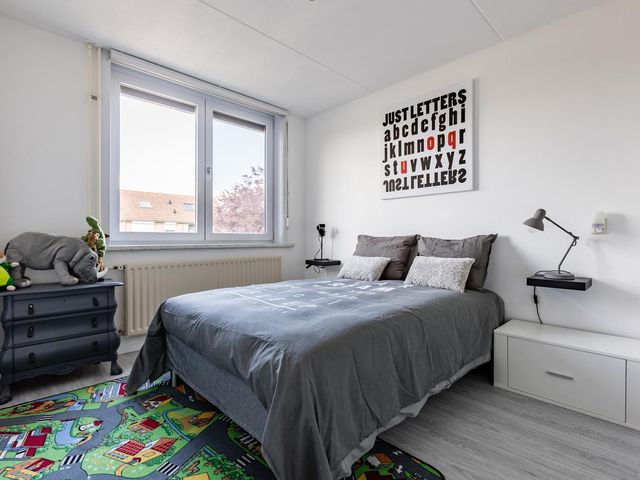 Roompot 13, Terneuzen
