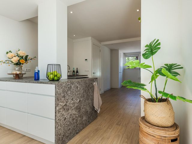 Assendelverstraat 11, Haarlem