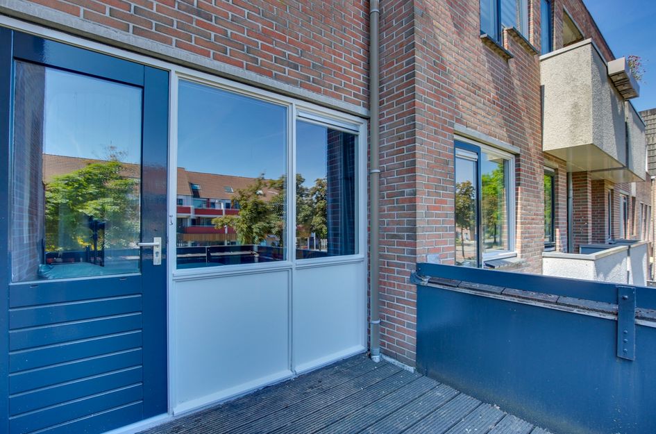 Zeven Bosjes 101