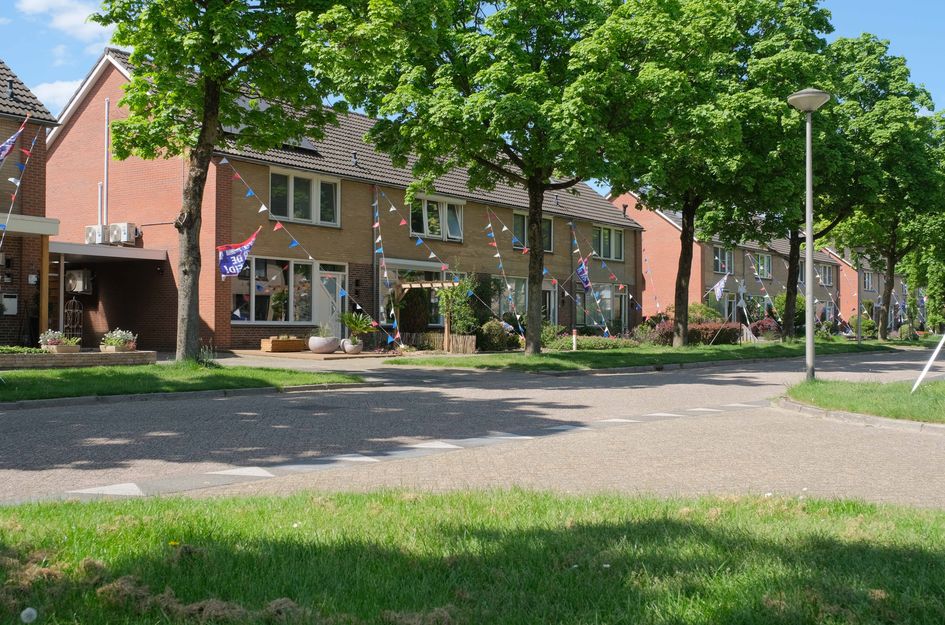 Alsemhof 11