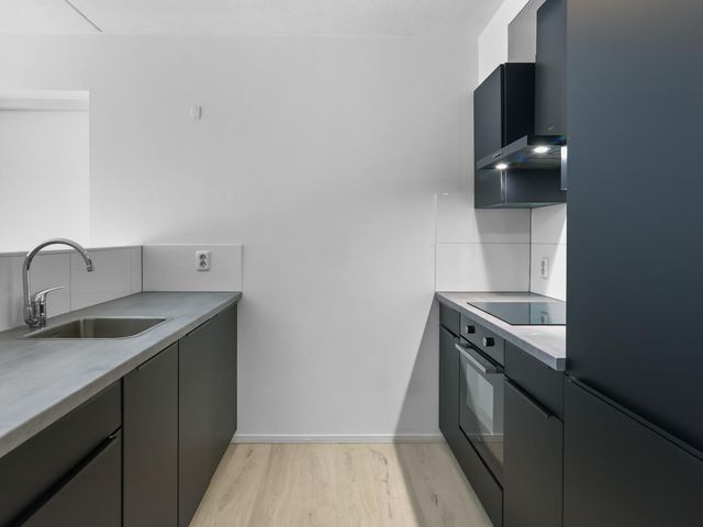 Parkstraat 16, Berkel En Rodenrijs