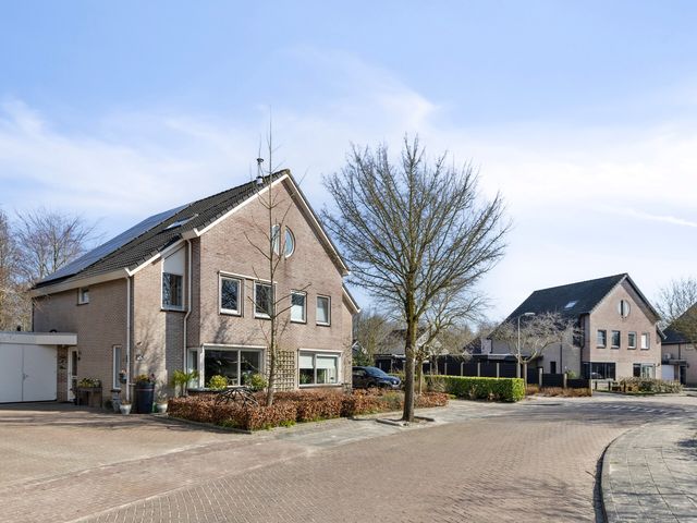 Kooiwiel 14, Bant