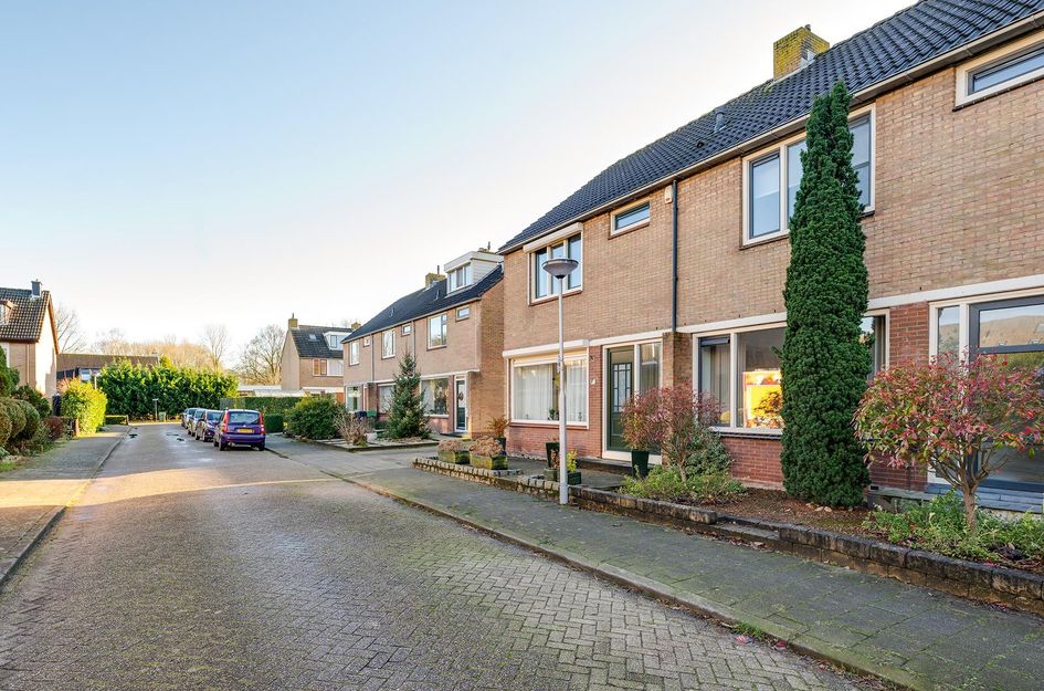 Ribesstraat 6