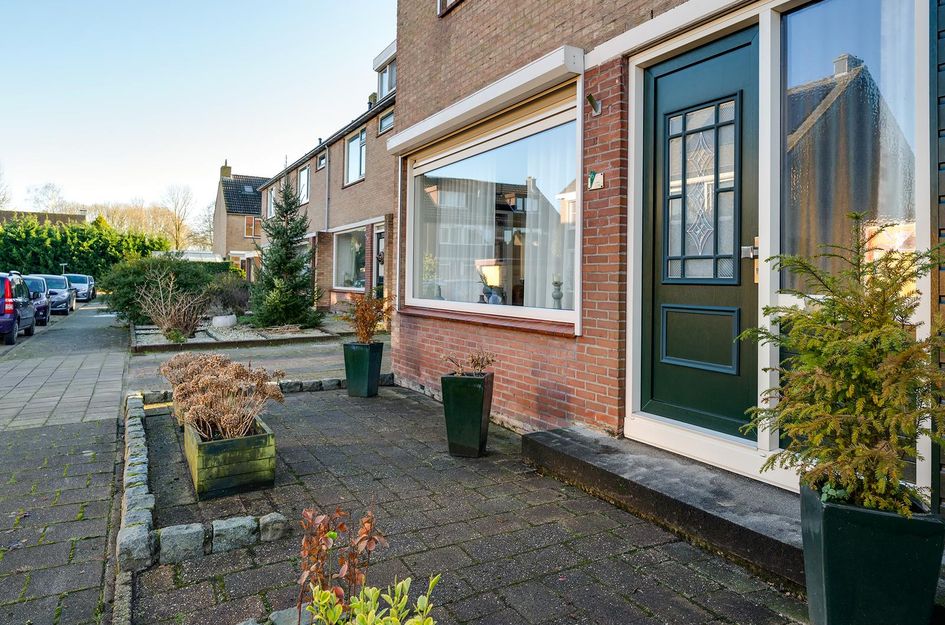 Ribesstraat 6