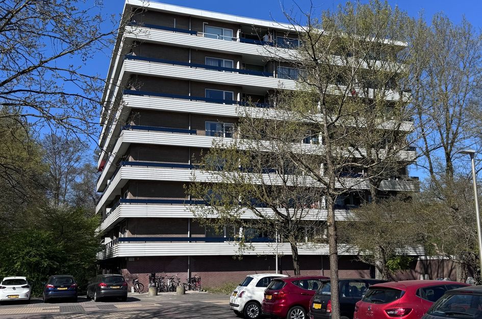 Marne 118