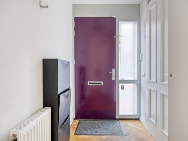 Zomereik 4, Eindhoven