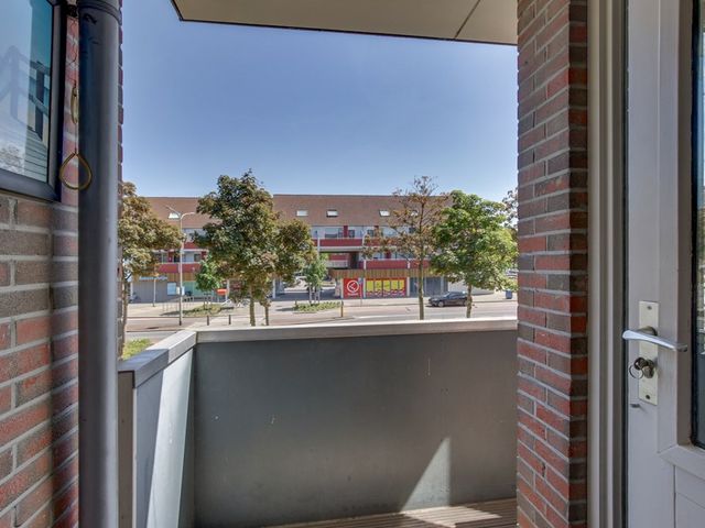Zeven Bosjes 101, Almelo