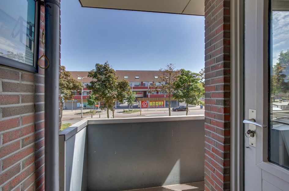 Zeven Bosjes 101